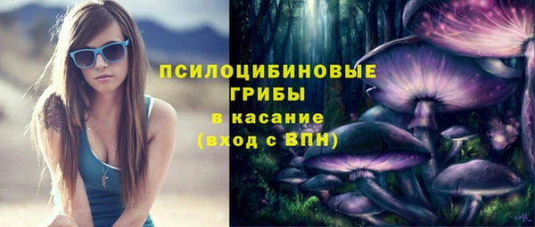 соль ск Алзамай