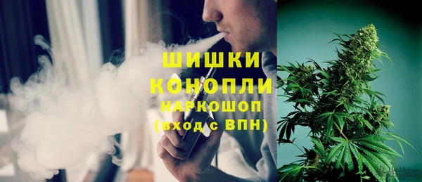 соль ск Алзамай