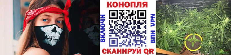 Конопля THC 21% сколько стоит Канск